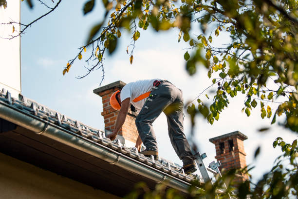 Best Residential Roofing Contractor  in Cerro Gordo, IL