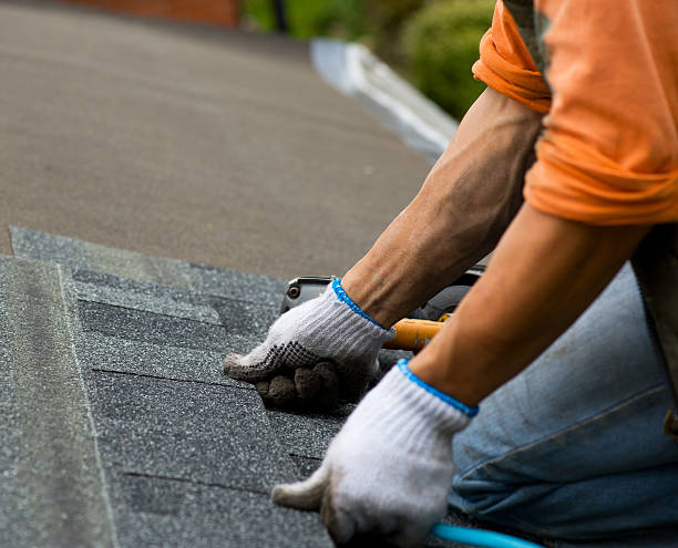 Best Roof Waterproofing Services  in Cerro Gordo, IL